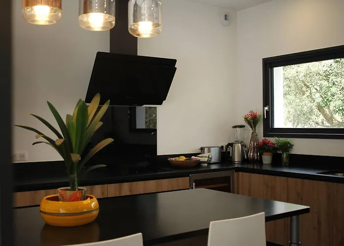 Avec Piscine Chauffee A 200m Du D'hossegor - Fr-1-791-6 Villa *