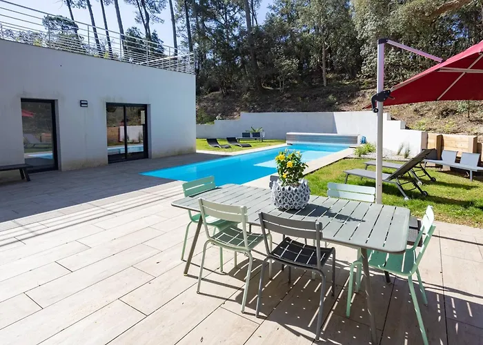 Avec Piscine Chauffee A 200m Du D'hossegor - Fr-1-791-6 *